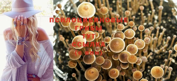 MDMA Premium VHQ Богородицк