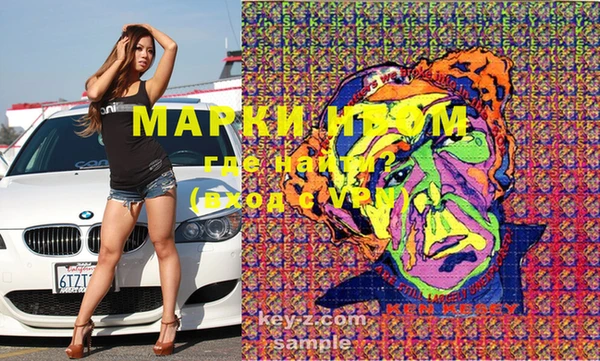 эйфоретик Няндома