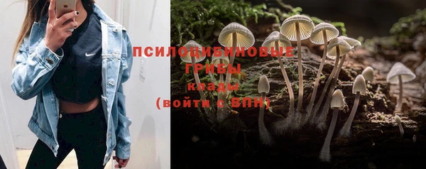 прущая мука Богородск